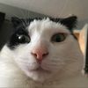 janetkevin95